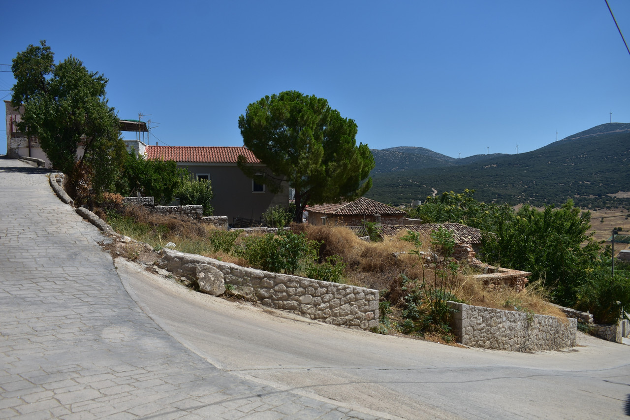 Αραχναίο (9)