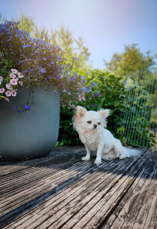 Lumii_20210720_165402946