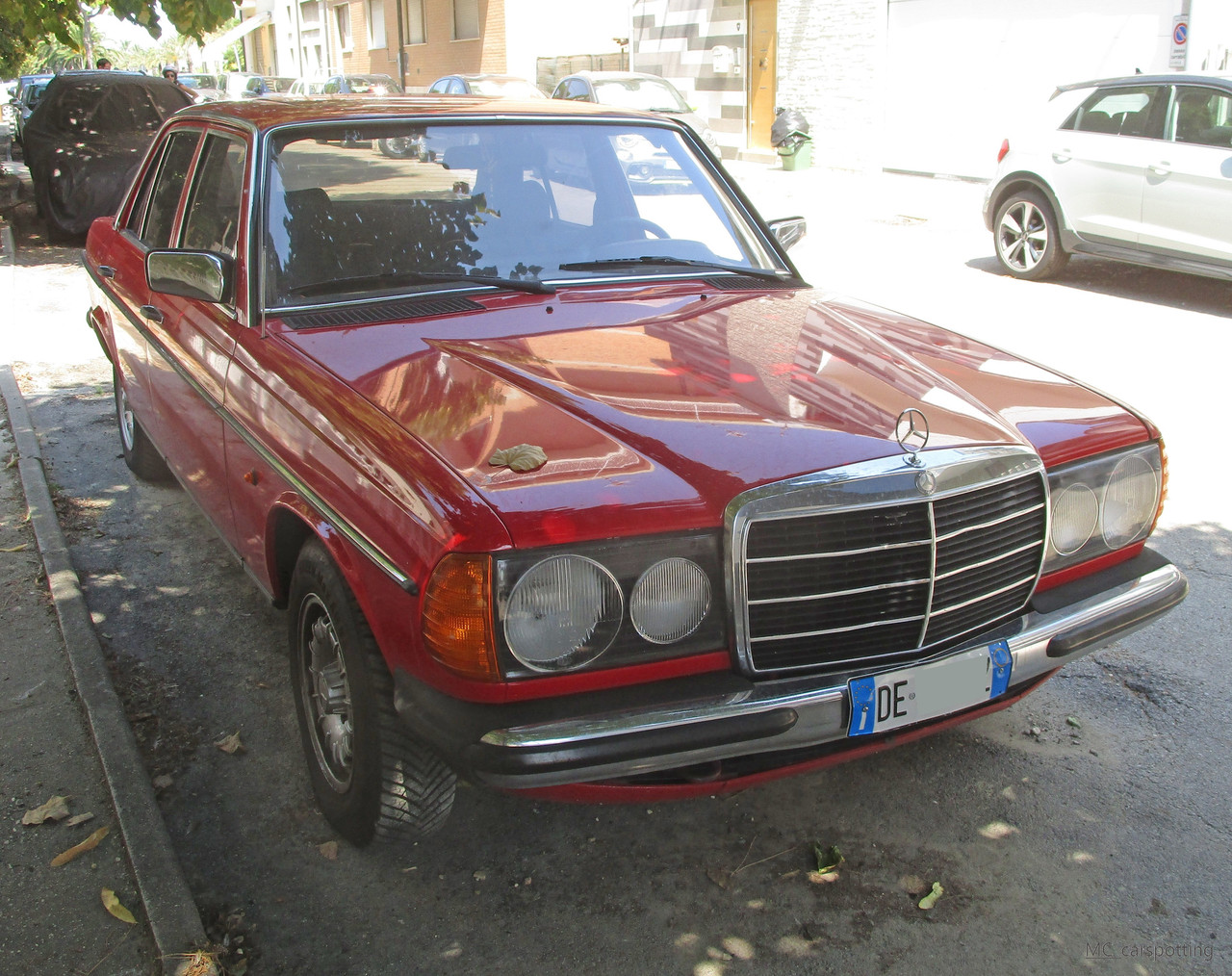 IMG-9264.jpg
