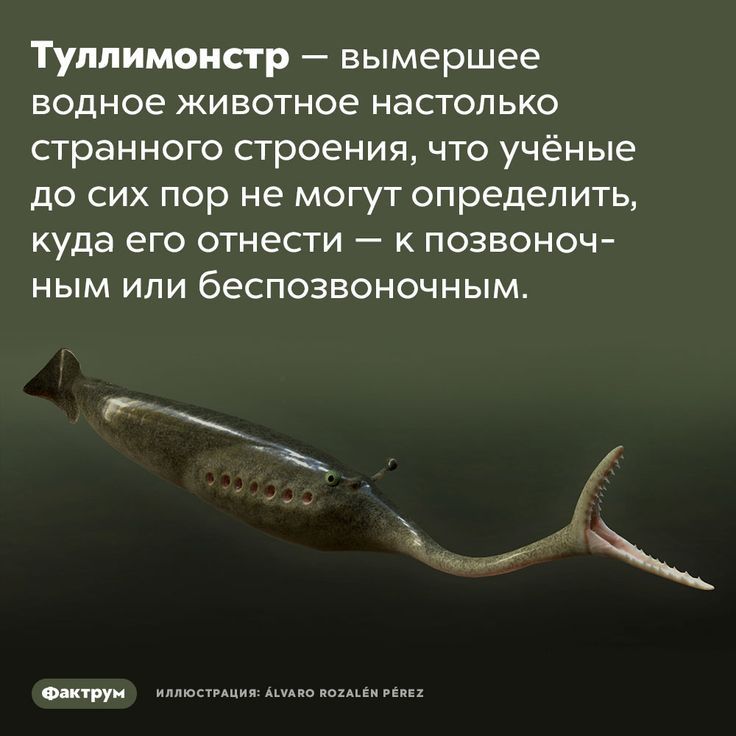 [Изображение: 14fe84f713a61b8ce9427b6faf9e2086.jpg]