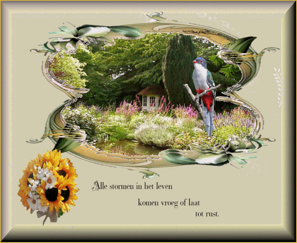 middenplaatje-8-juli-2021