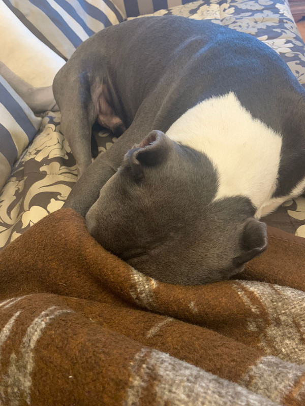 A0DE00CB-A4C1-4412-9326-072B8346D37B