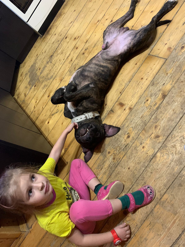 0DBC225C-7C23-4723-AC0D-30DD155C5A7C