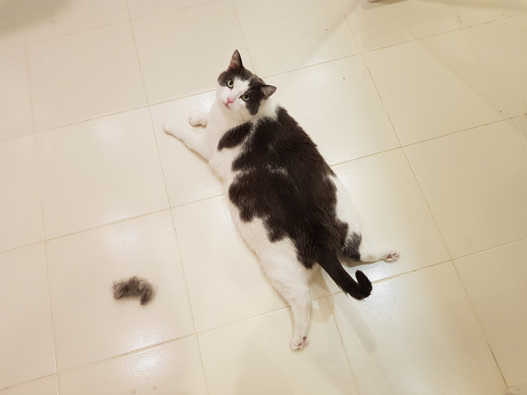 20191208-110614.jpg
