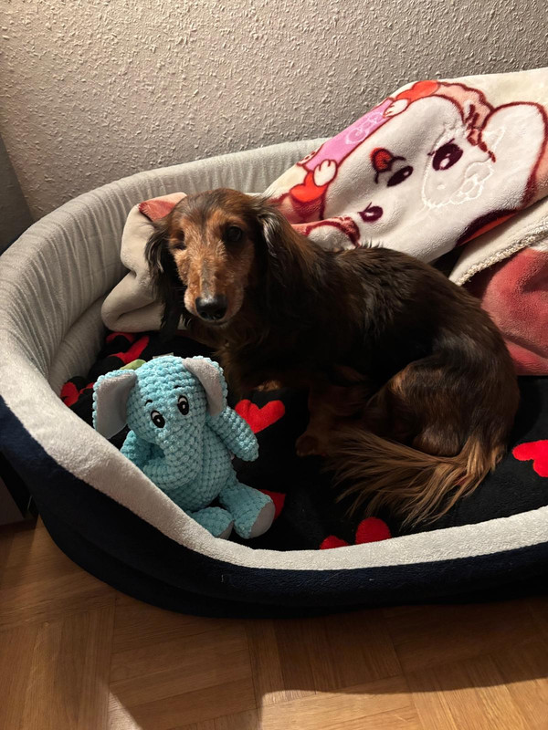 [Image: IMG-20250608-WA0006.jpg]