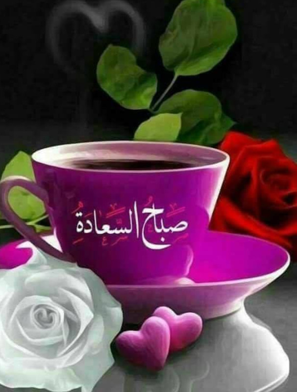 IMG_٢٠٢١٠٦١٢_١٠٥٦٣٠