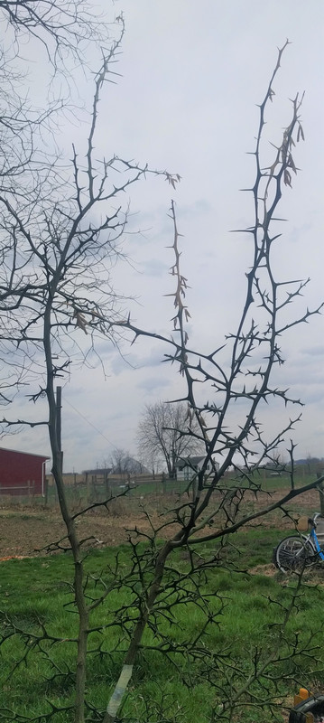 Apr 8 2019 H