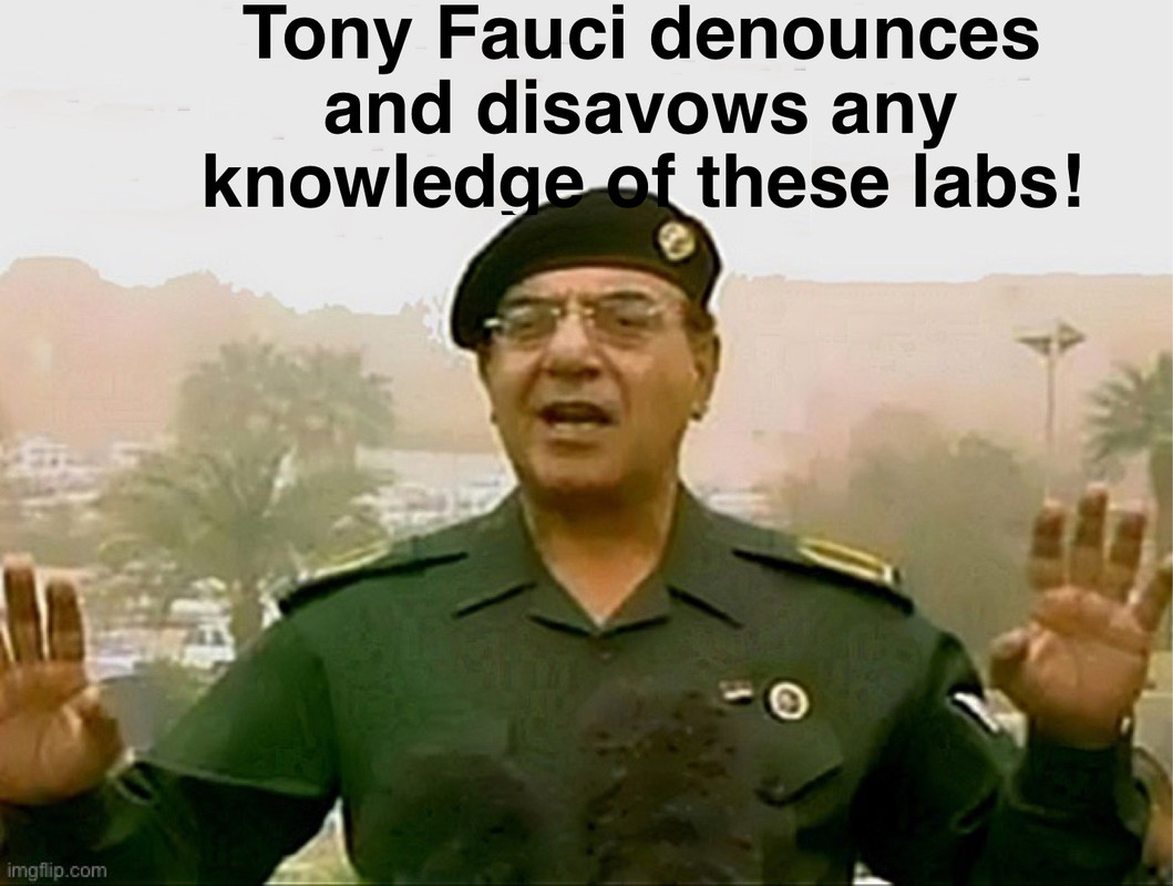 E7449D72-BD8A-463C-BC11-08C166029429