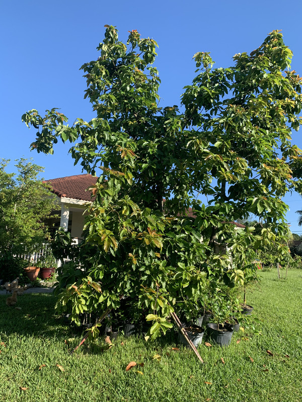 C7F18E33-A5C2-499F-8184-963D891866C3