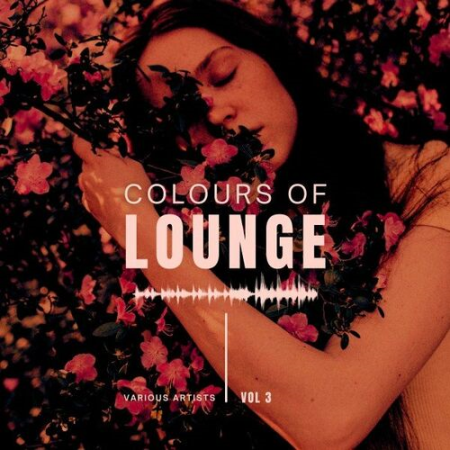 VA - Colours of Lounge Vol.3 (2022)