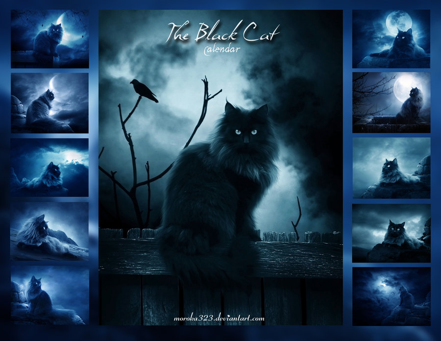 3-the-black-cat-calendar-by-moroka323-d327esc