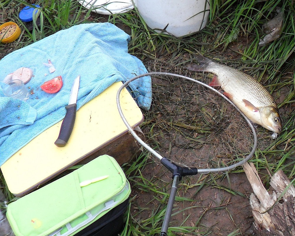 Кама 20.06.13 г 03