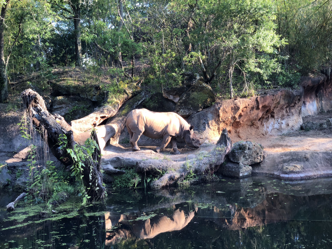 4BFC68C1-B3B8-494F-8BFF-56B93FEEC786