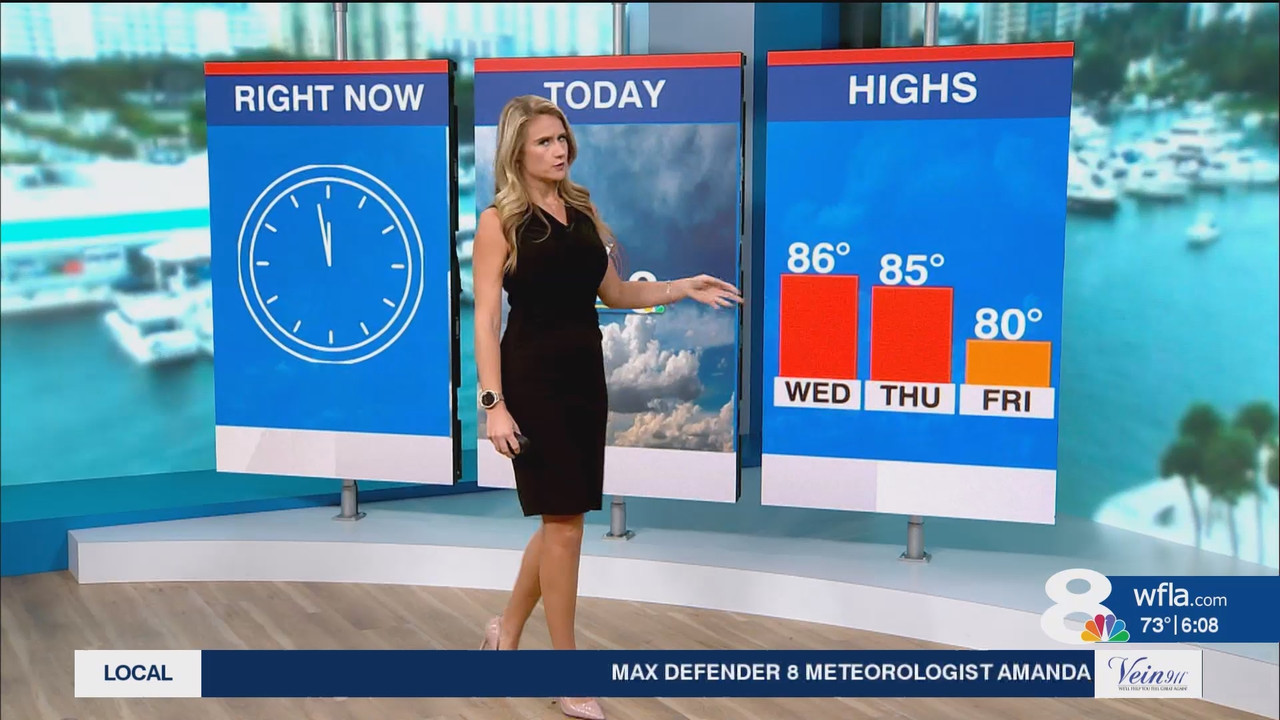 NewsChannel 8 Today at 6a_20241112_11001200.ts_snapshot_08.49.208