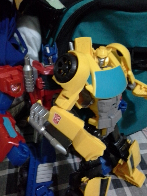 1430101290_cyberbumblebee1