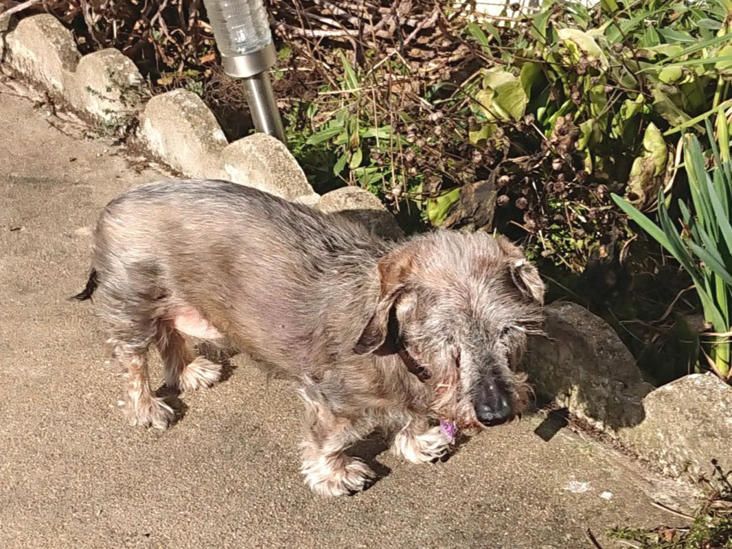 [Image: DSC-3657-A.jpg]