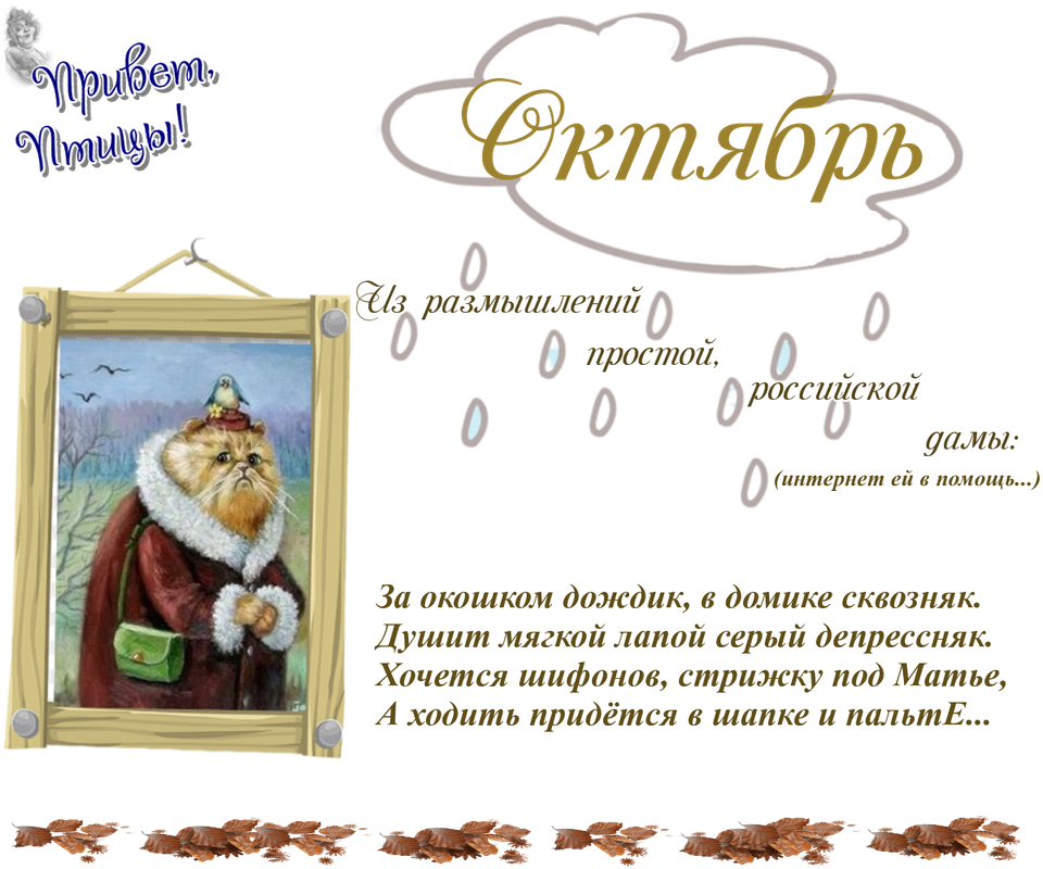 https://i.postimg.cc/J0Nx3Fm7/04-10.png