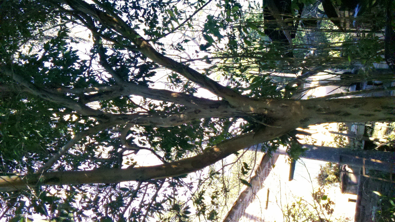 2013-06-07_15-07-42_670