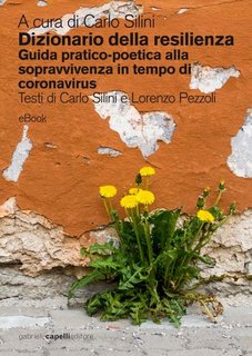 Carlo Silini - Dizionario della resilienza. Guida pratico-poetica alla sopravvivenza in tempo di coronavirus (2020)