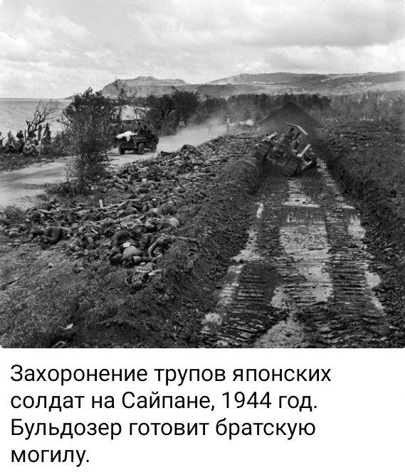 photo 2026 03 31 00 39 28