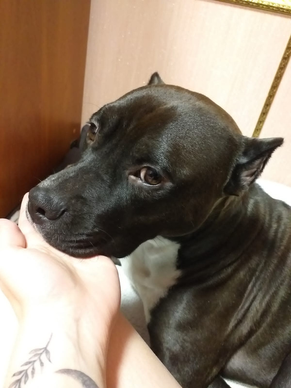 06CA31C8-09F2-4C24-A05B-DAB08F58C241