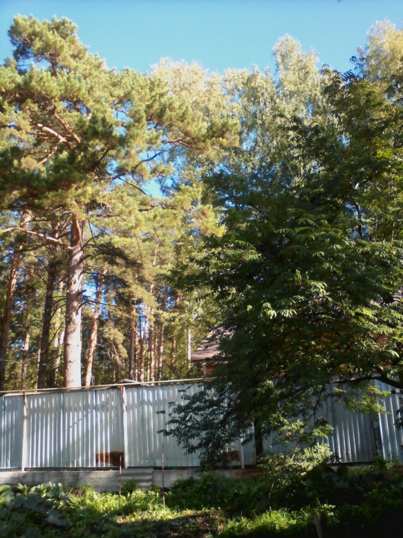 Вид на Север [1600x1200]