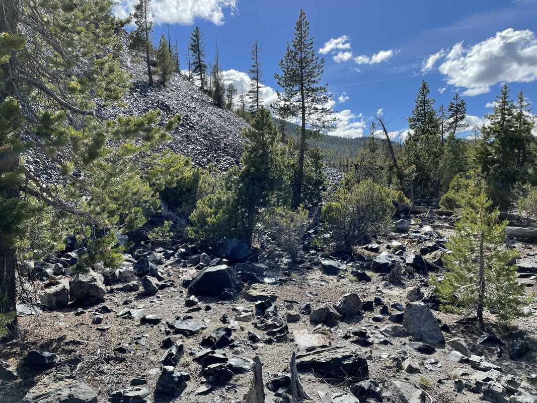 91E1E272-CDAE-4642-AF06-957844EFD083