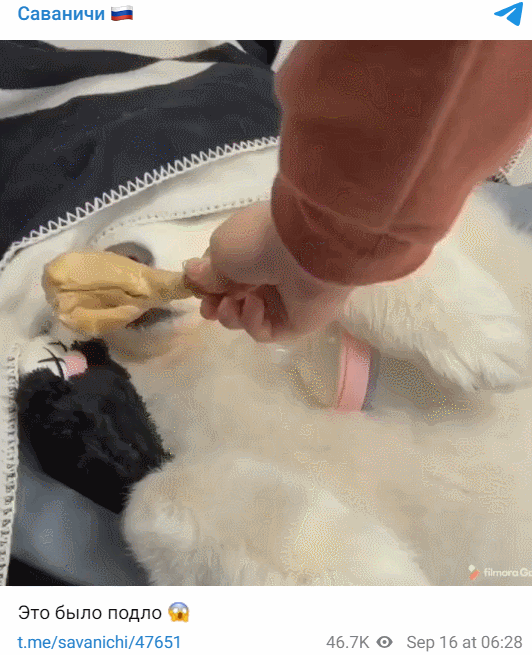 GIF-16.gif
