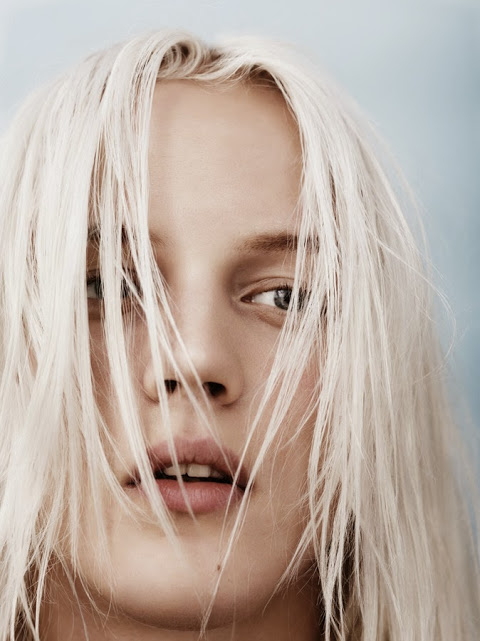 VMAN-HOMOTOGRAPHY-OLINS-06