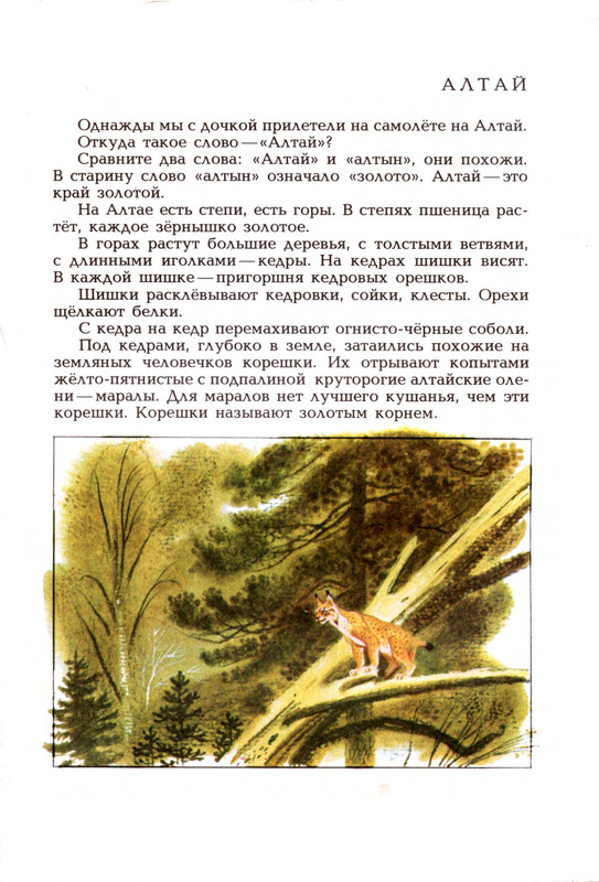Goryshin-Gleb-Na-altajskoj-trope-222354-06