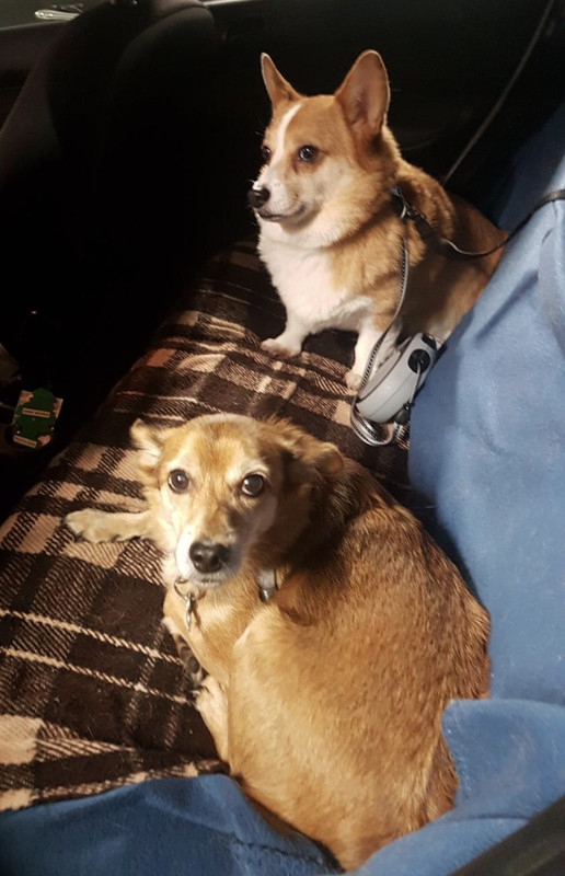 [Image: 0-B26-FB16-2-EAF-43-CF-9120-5-F477-A613-C97.jpg]