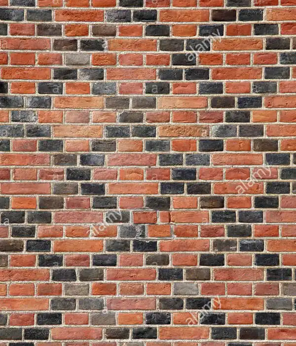 239B5F90-A1A4-4056-99F9-D942B37F8C56