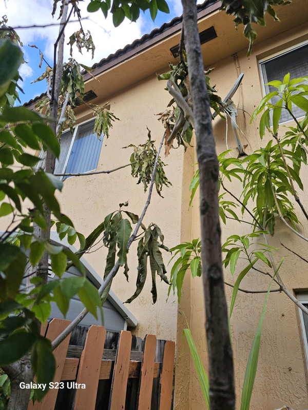 Resized_20241213_100846_1734102541652