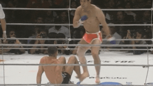 82d58e9c459ff5c07ae56e0896f45fc56833a571-375995582.gif