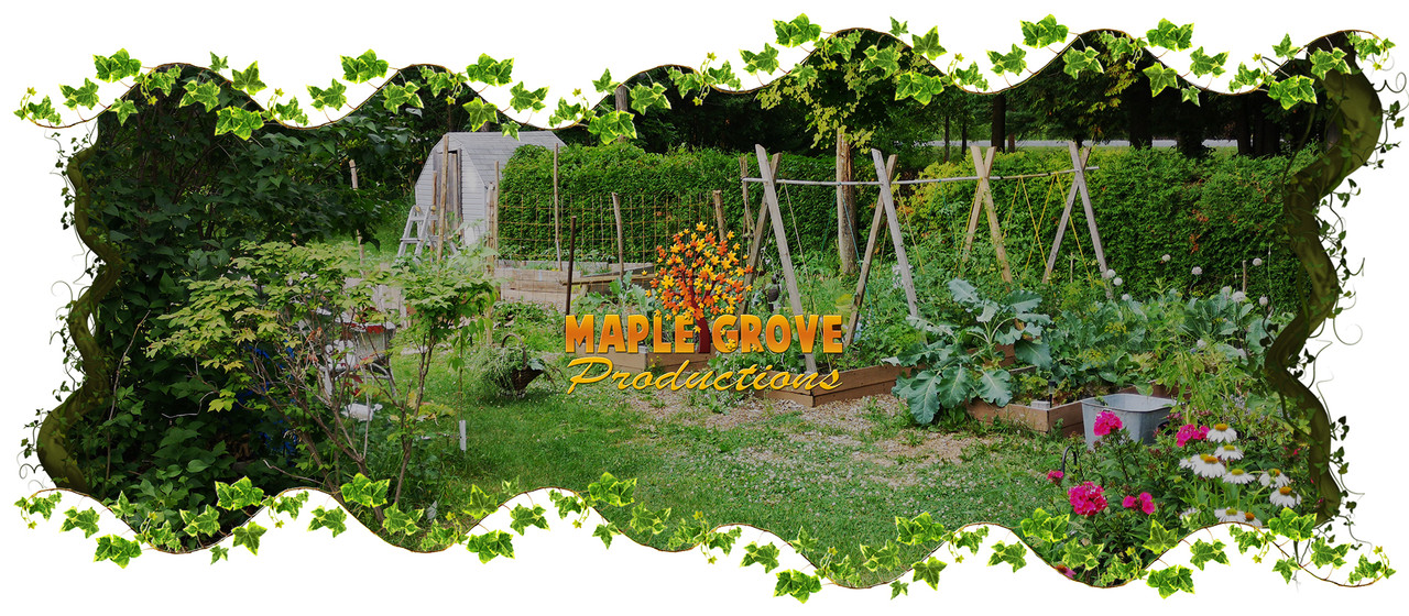 Maple Grove Productions