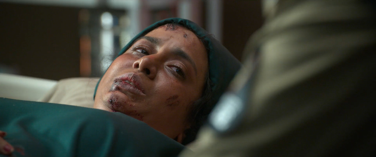Ustaad Bhagat Singh 2026 WebRip [Hindi + Tamil + Telugu + Malayalam + Kannada] 1080p 480p 720p ESub Screenshot