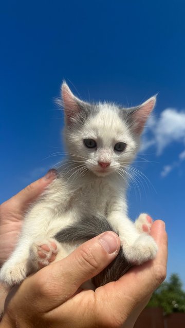 ACD7930B-2D43-460D-83C9-4A0888982392