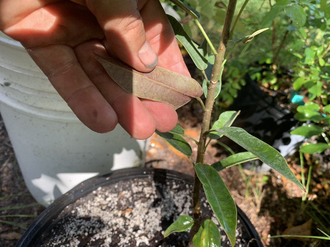 CFA2C780-9911-4BBF-9C25-B78FDEBFA6A8