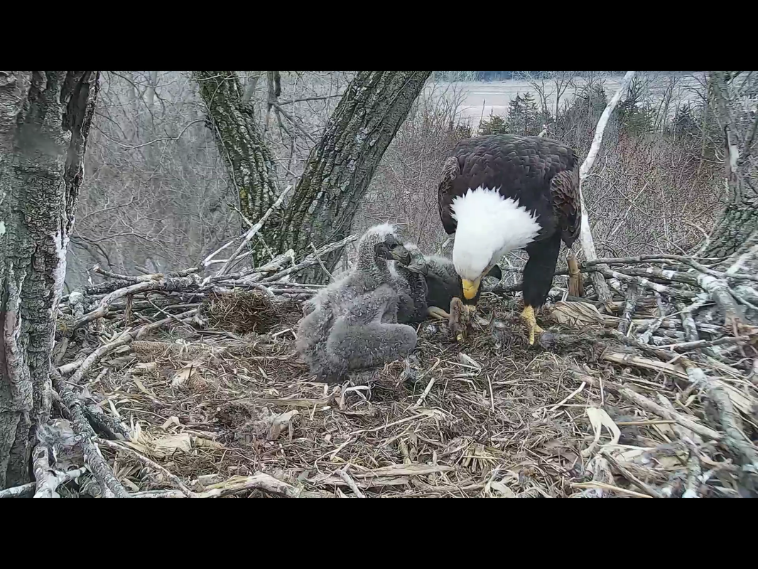 9A82C6D3-F543-4D72-AE00-673A5CDE1B78