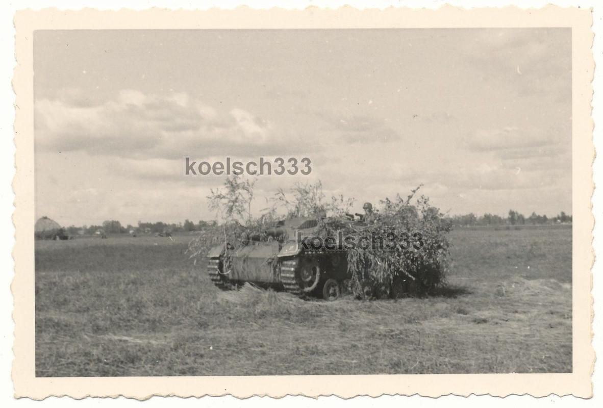 Foto Sturmgeschütz Panzer mit Tarnung an der Ost