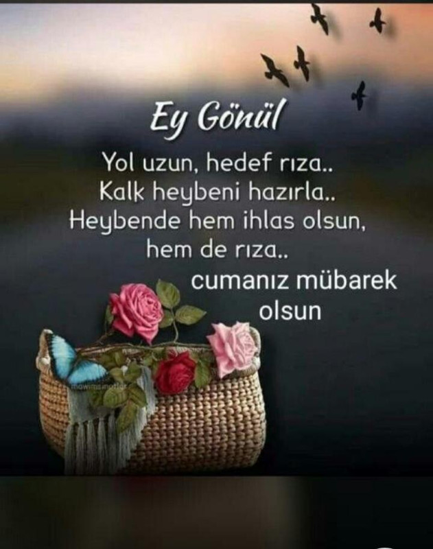 resim