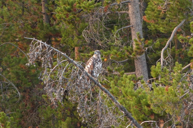 P1280572