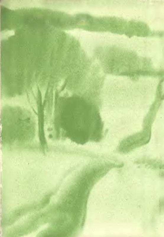 p0242