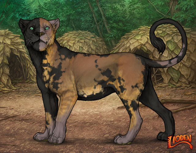 lioden wardrobe 2026 03 19T234023 164