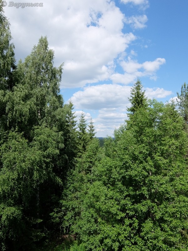 DSCF8885
