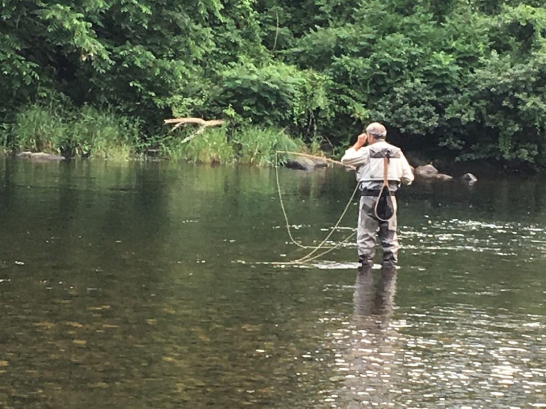 C22540F6-D7B3-4F22-81B5-6E35D639A0D3