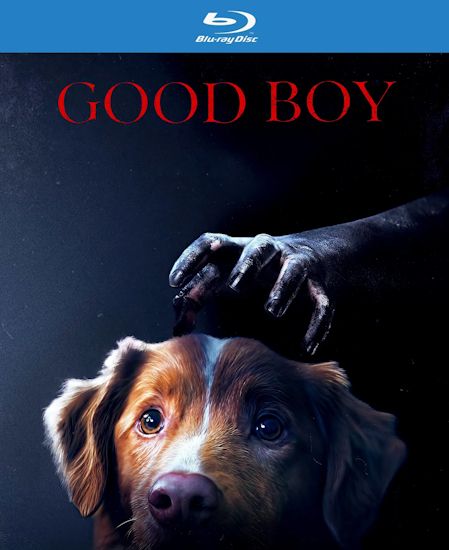 Good-Boy-Trust-his-instincts.jpg