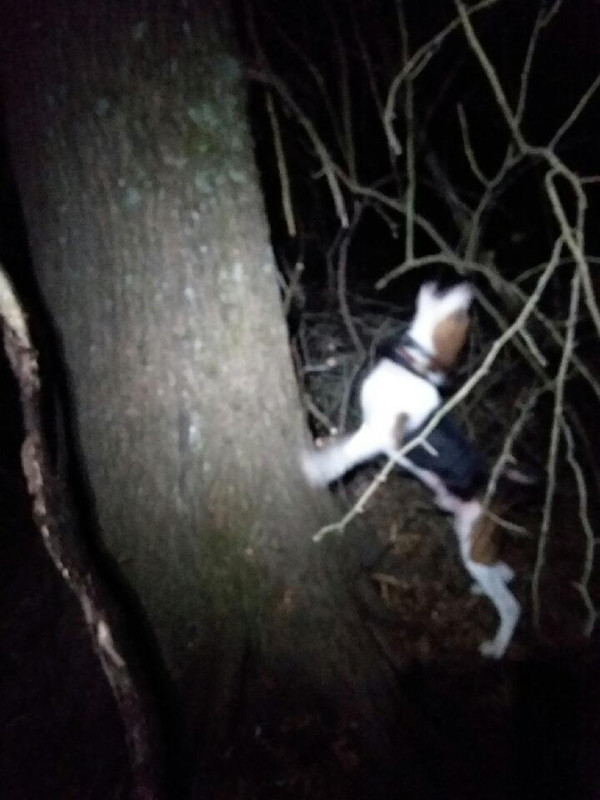 6268A4C9-105E-452E-9AB7-F33618CE32D8