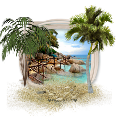 Paysages-avec-palmier
