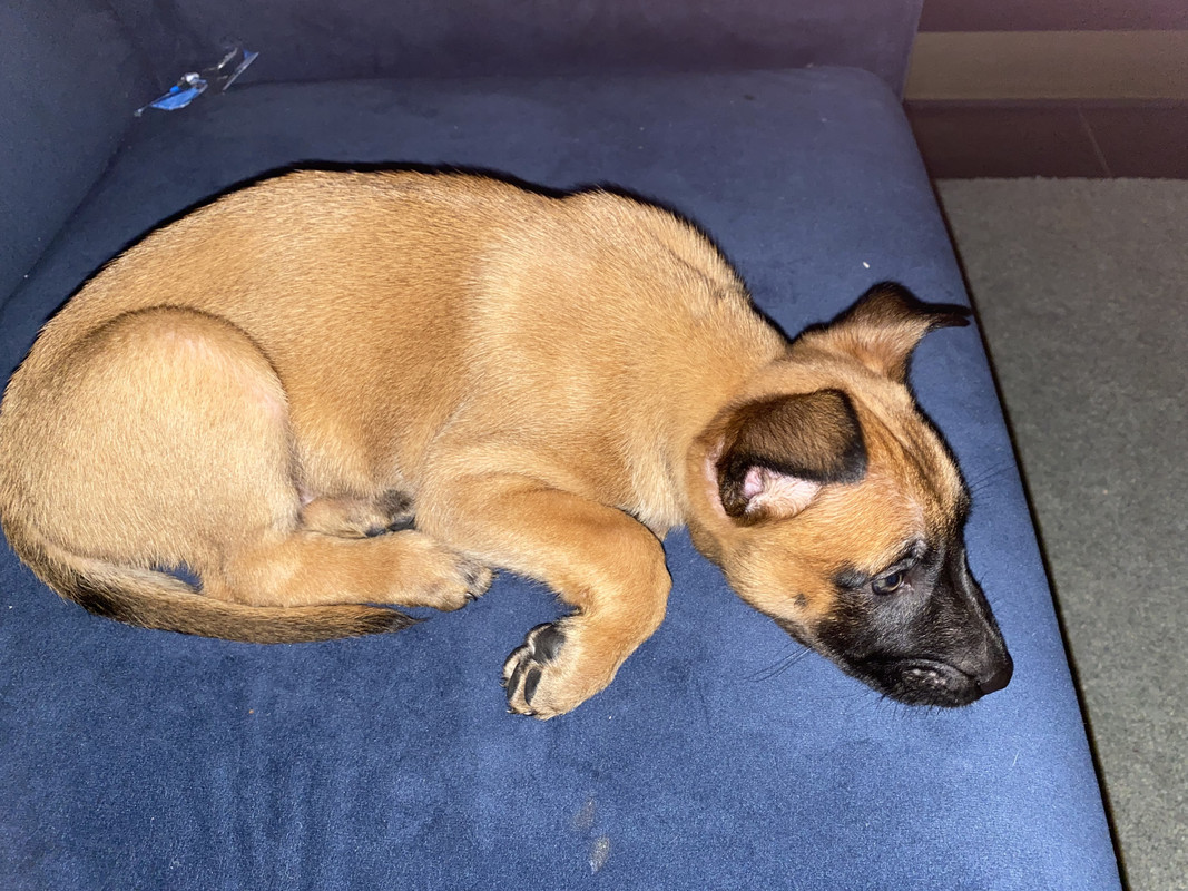 6A929DCE-F66E-4B2F-8089-9A92DE720BFC